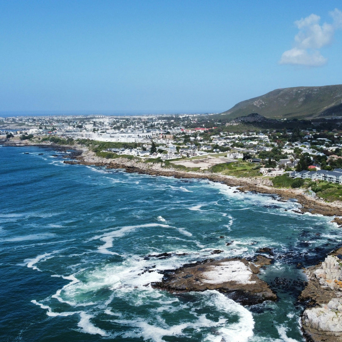 Book launch of 'How we made it in Africa II' in Hermanus